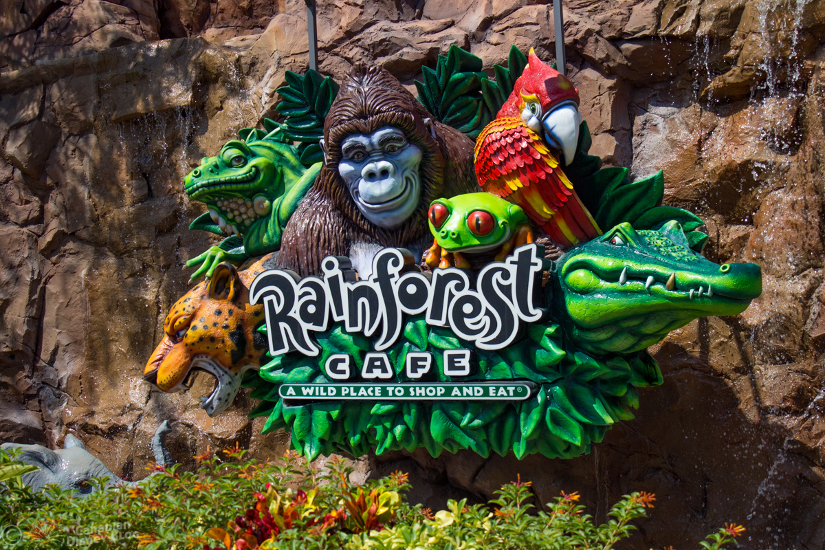 Rainforest Cafe at Disney Springs